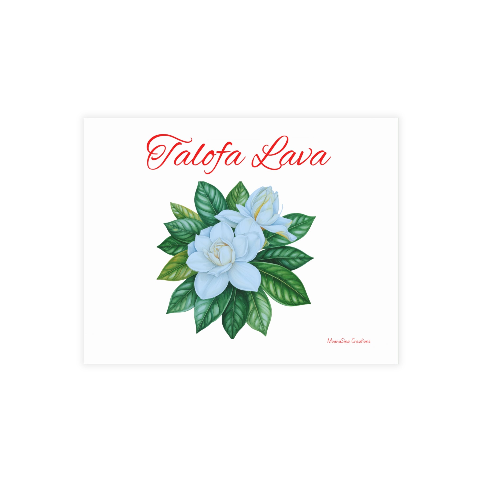 Gardenia "Talofa Lava" (Hello) Postcard Bundles (envelopes included)